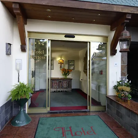 酒店 科提斯酒店 圣安东阿尔贝格